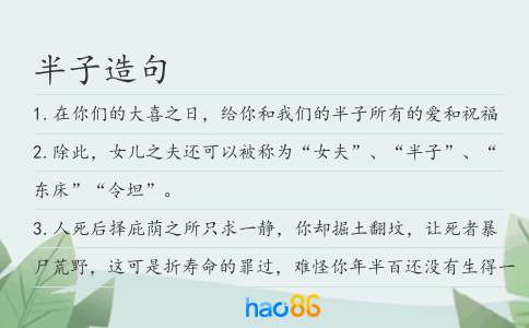 半子造句