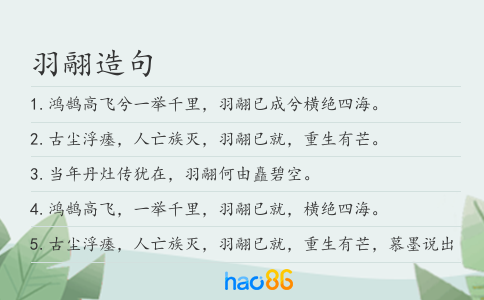 羽翮造句