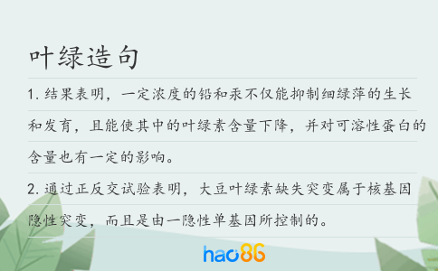 叶绿造句