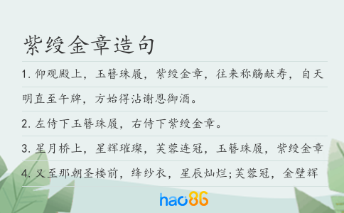 紫绶金章造句