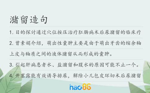 潴留造句