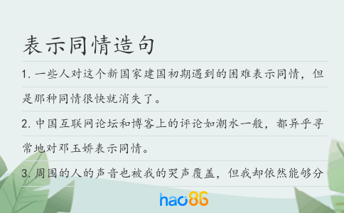 表示同情造句