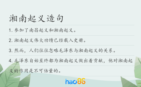 湘南起义造句