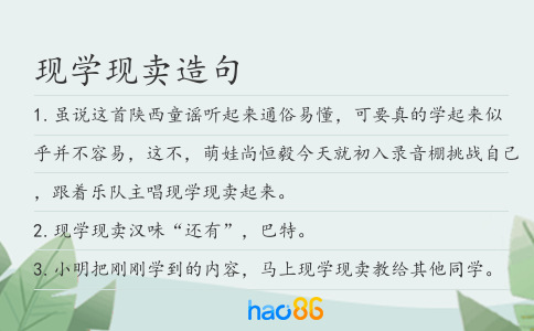 现学现卖造句