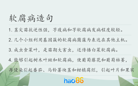 软腐病造句