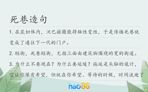 死巷造句