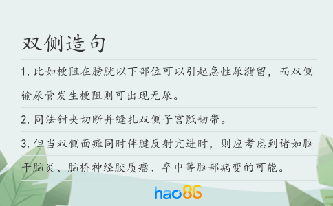 双侧造句