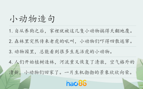 小动物造句