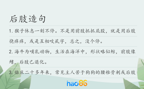 后肢造句