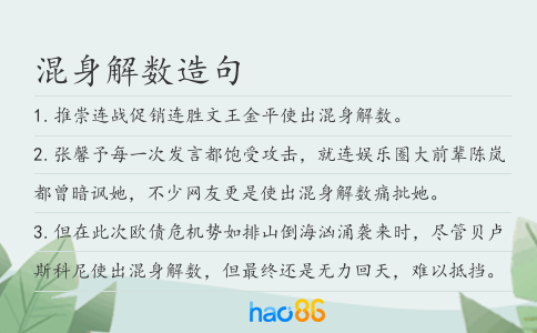 混身解数造句