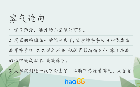 雾气造句