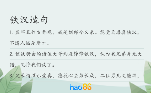 铁汉造句