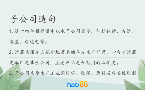 子公司造句