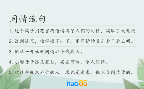 同情造句