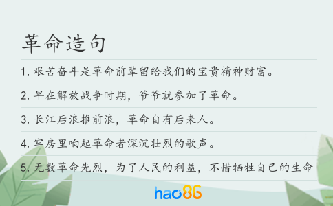 革命造句