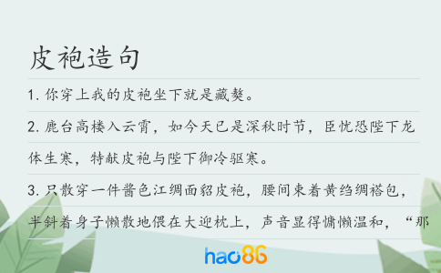 皮袍造句