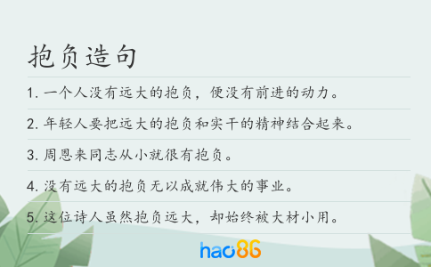 抱负造句