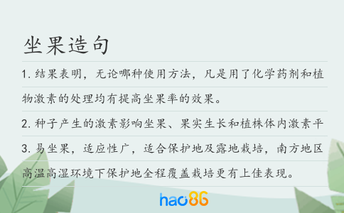 坐果造句