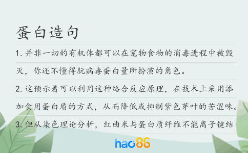 蛋白造句