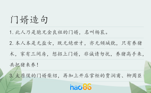 门婿造句