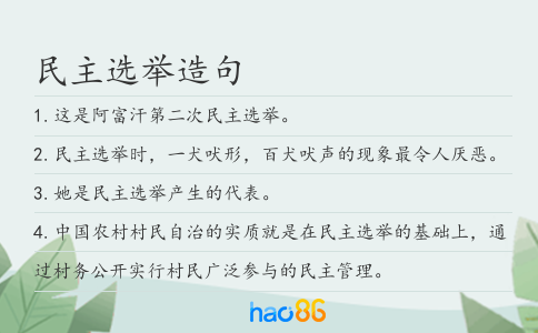 民主选举造句