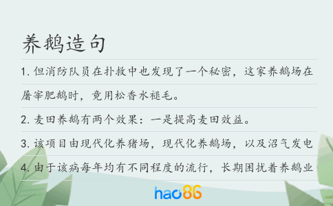 养鹅造句