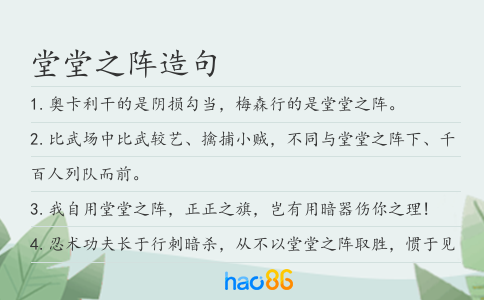 堂堂之阵造句