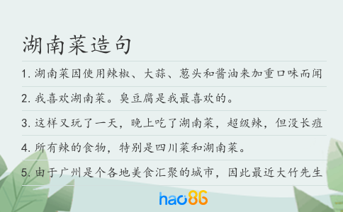 湖南菜造句