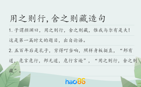 用之则行,舍之则藏造句