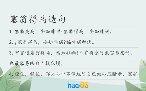 塞翁得马造句