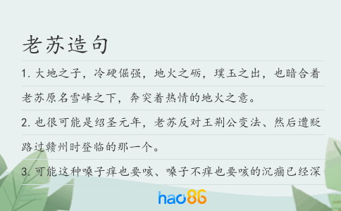 老苏造句