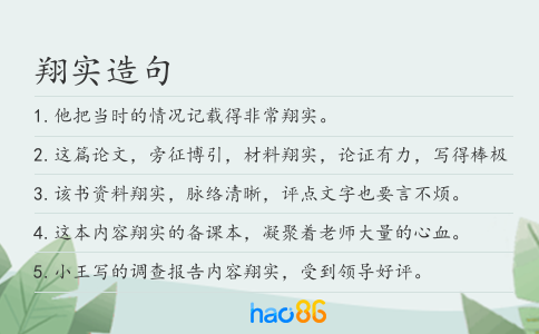 翔实造句
