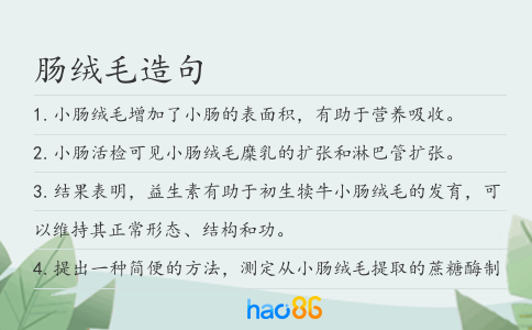 肠绒毛造句