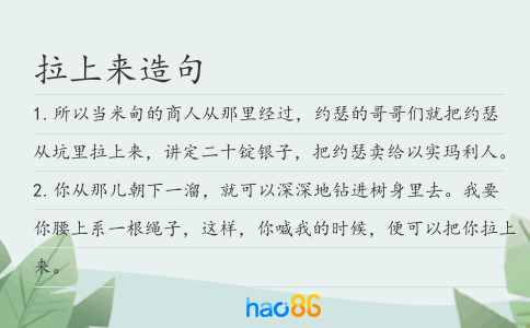 拉上来造句