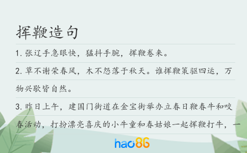 挥鞭造句