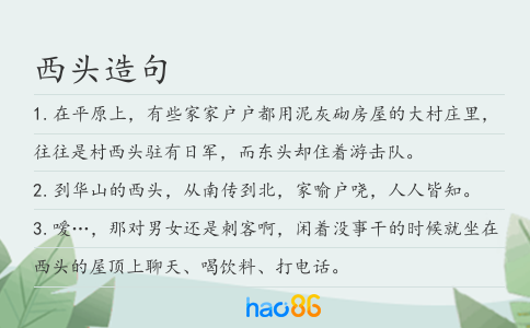 西头造句