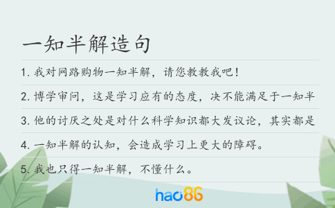 一知半解造句
