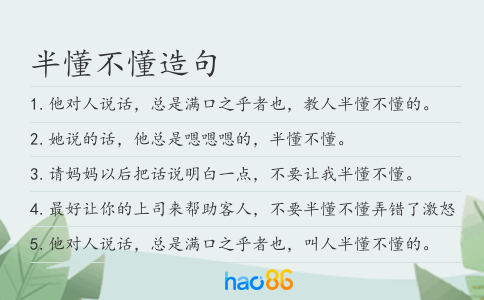 半懂不懂造句