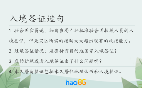 入境签证造句