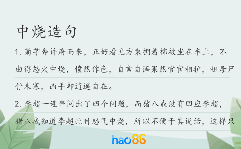 中烧造句