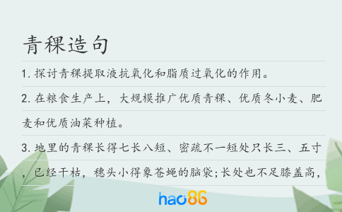 青稞造句