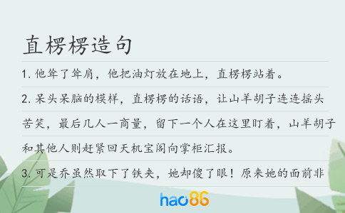直楞楞造句