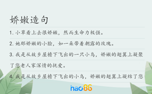 娇嫩造句