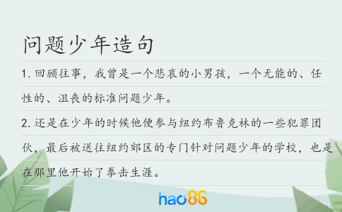 问题少年造句