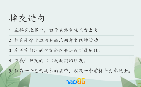 摔交造句