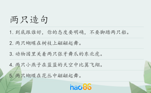 两只造句