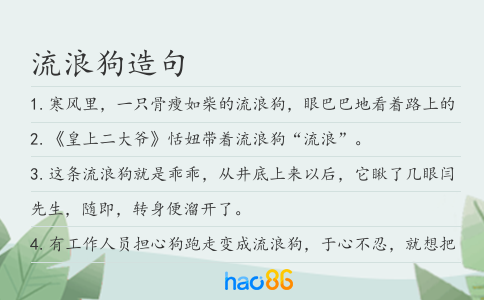 流浪狗造句
