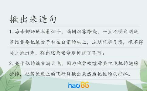 揪出来造句