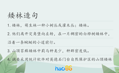 矮林造句