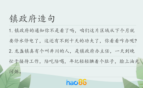 镇政府造句